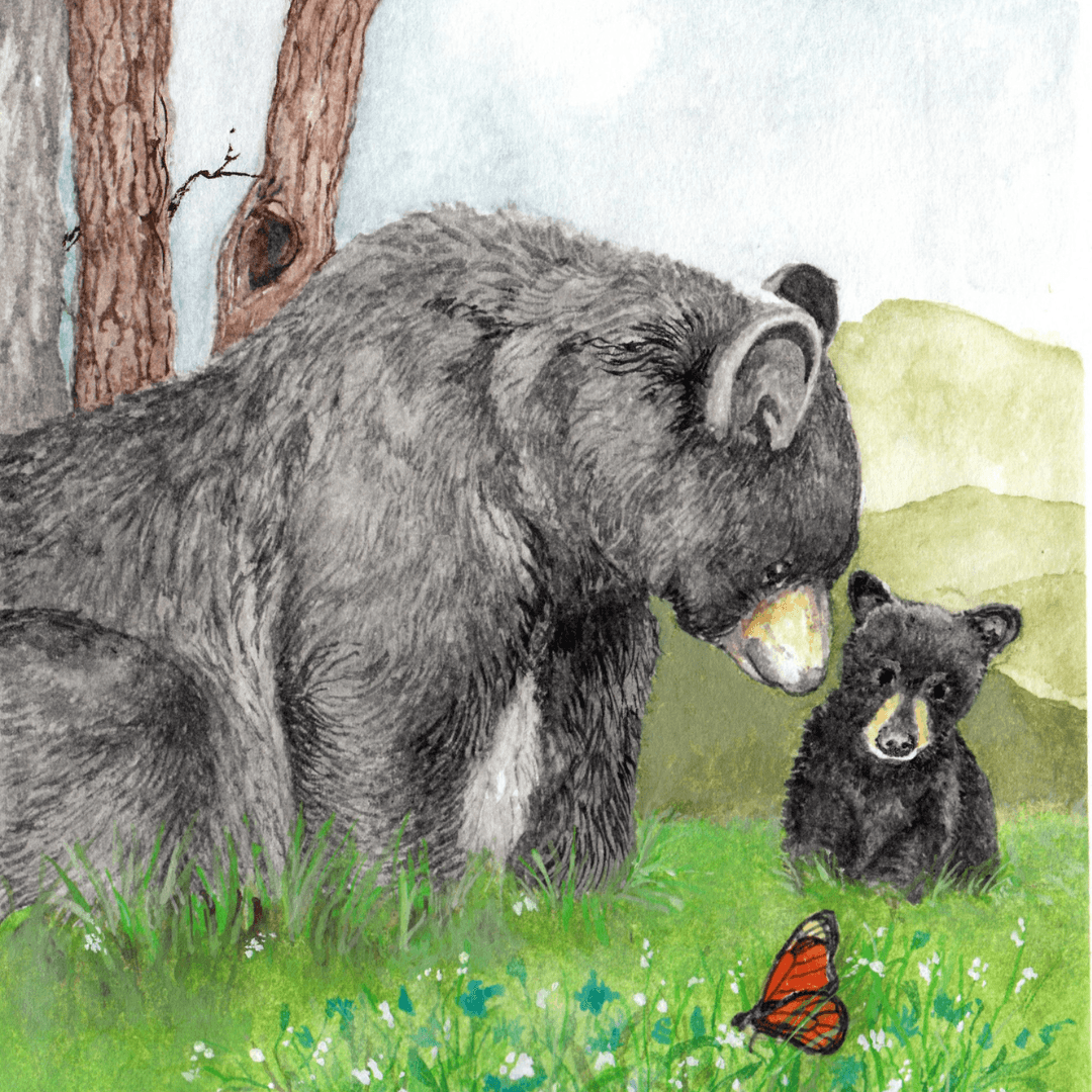 Black bear mom and her cub.