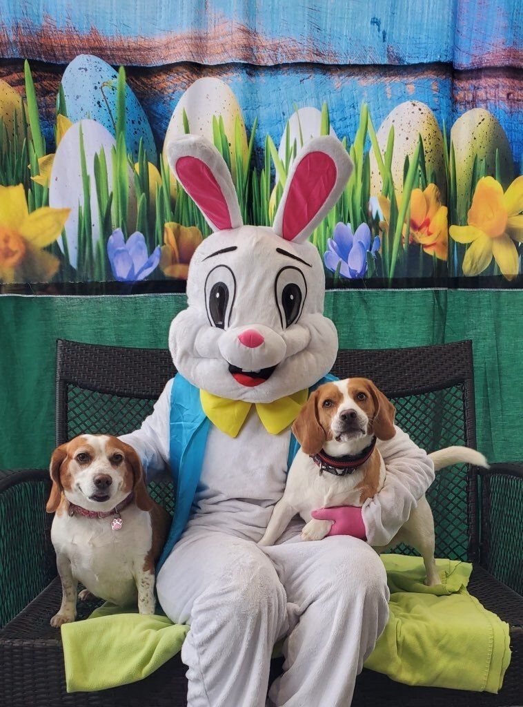 Join us on Saturday, March 21, 2026 for photos with the Easter Bunny at Subuaru of Wyoming Valley!
