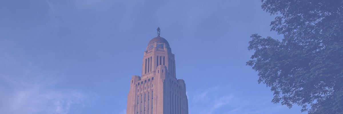 Municipal Reviews