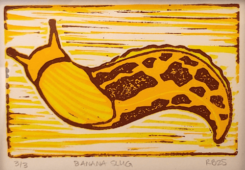Banana Slug