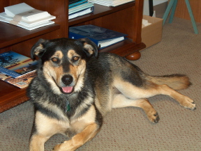 Lucy