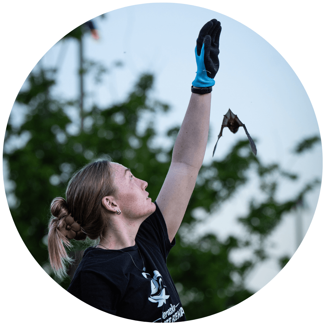 Katie Mueller- Wildlife Rehabilitation Director