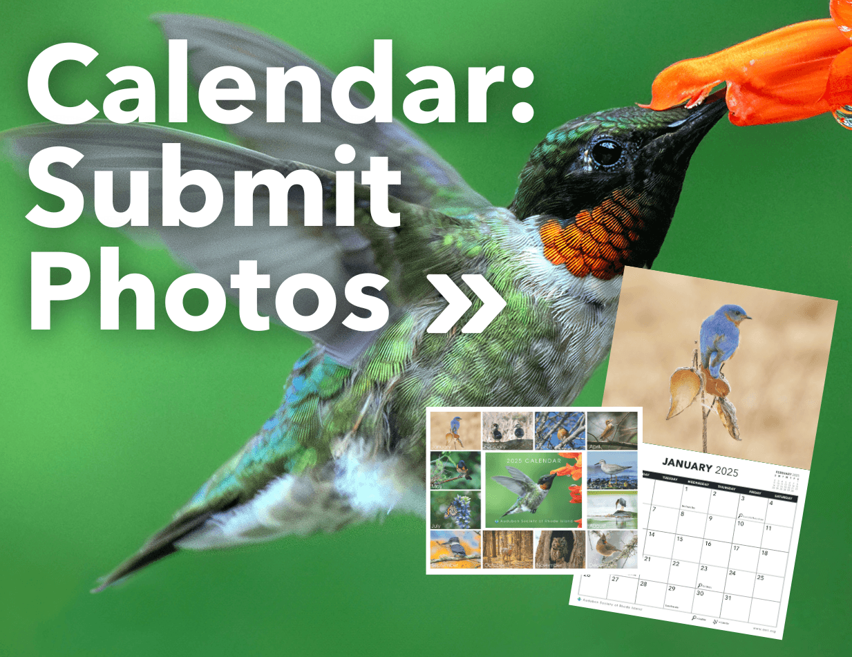 Calendar Contest