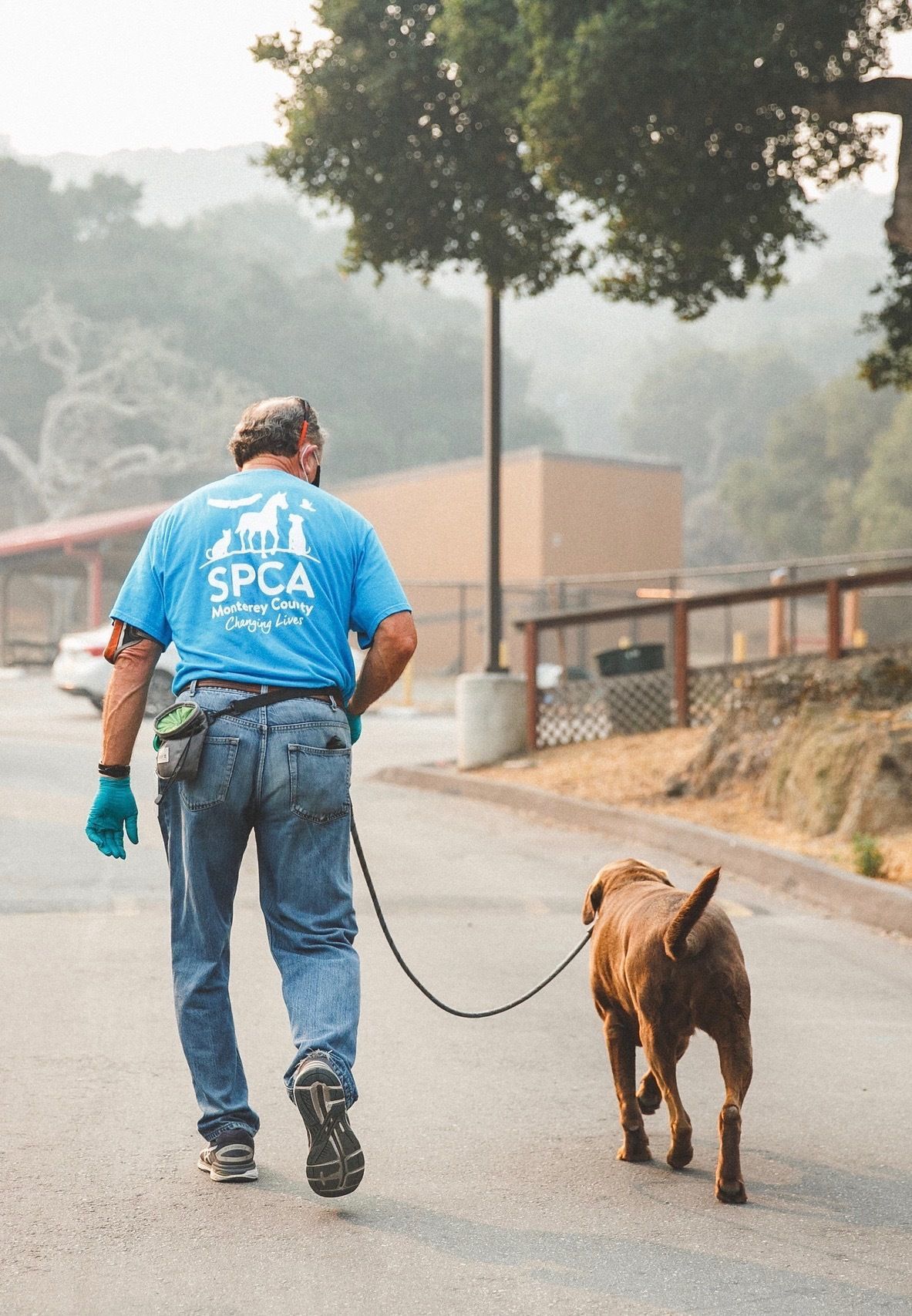 spca walk 2019