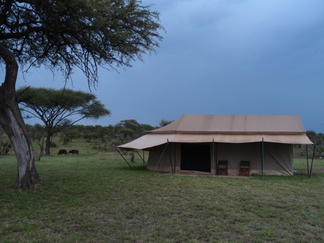 Mbugani Migration Camp - stanová chatka