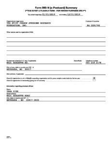 2019 Form 990-N