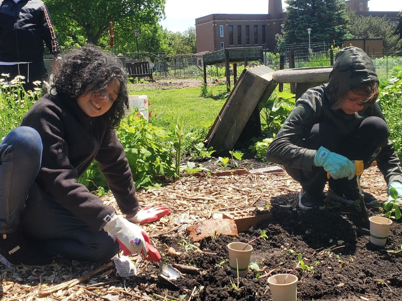 Seed to Sauce Program in Full-On Summer Mode