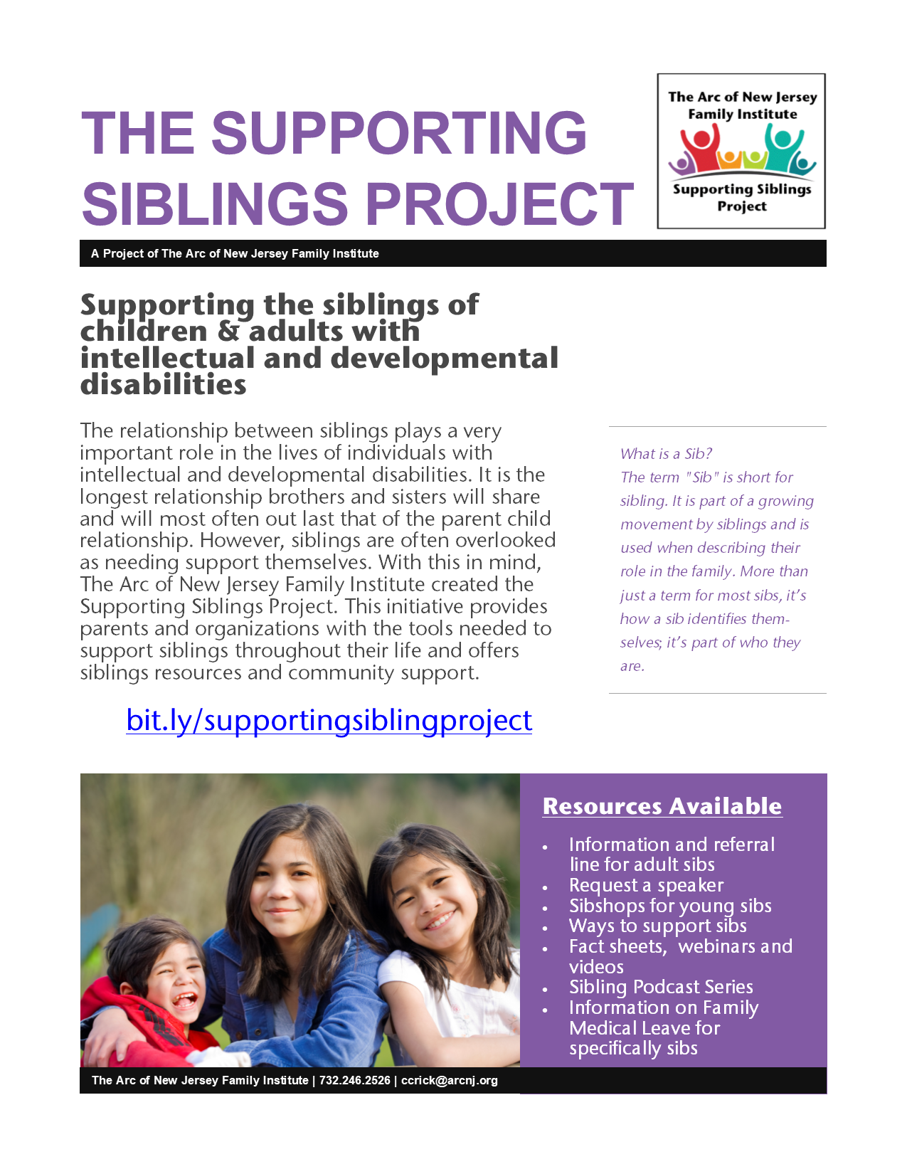 Supporting Siblings Project Flyer
