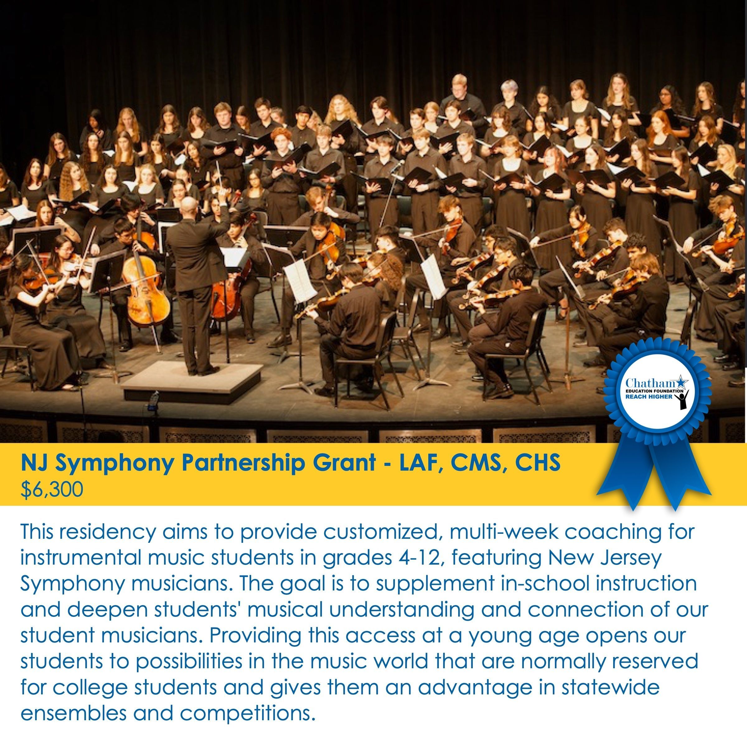 The NJ Symphony Partnership Grant 
