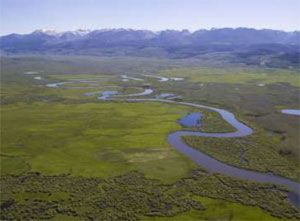 GAME & FISH DEPARTMENT ANNOUNCES PARTNERSHIP WITH THE NATURE CONSERVANCY ON WETLANDS