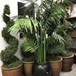 Home Décor