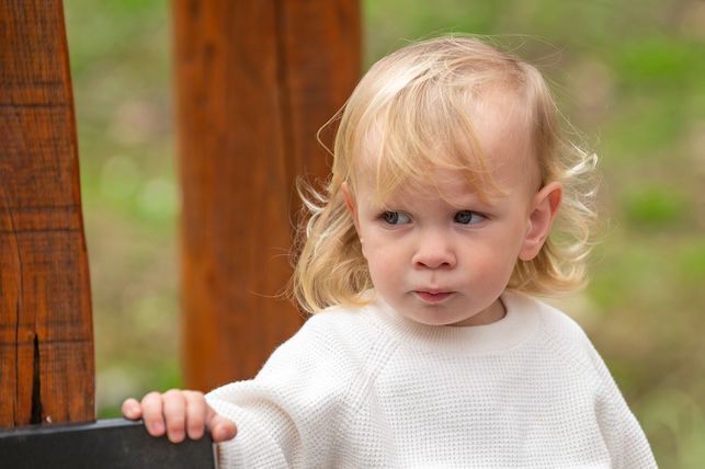 Addressing Infant and Toddler Behaviors That Challenge Adults
