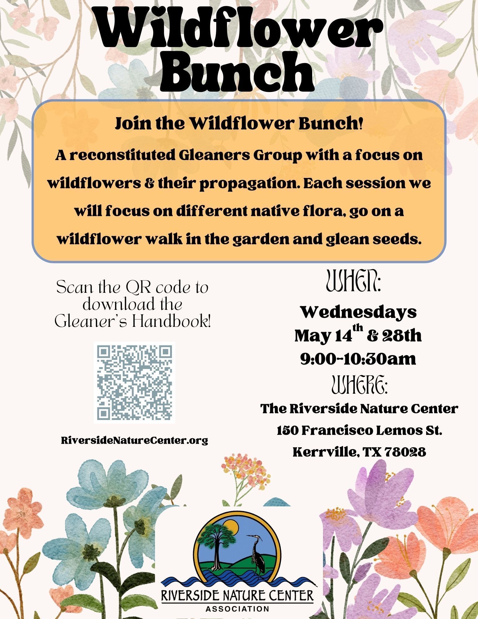 Wildflower bunch, Riverside Nature Center, Kerrville, TX, seeds, gleaning