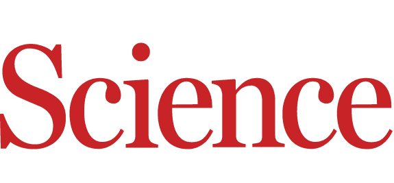 Germline EGFR T790M Mutation and Lung Cancer Risk