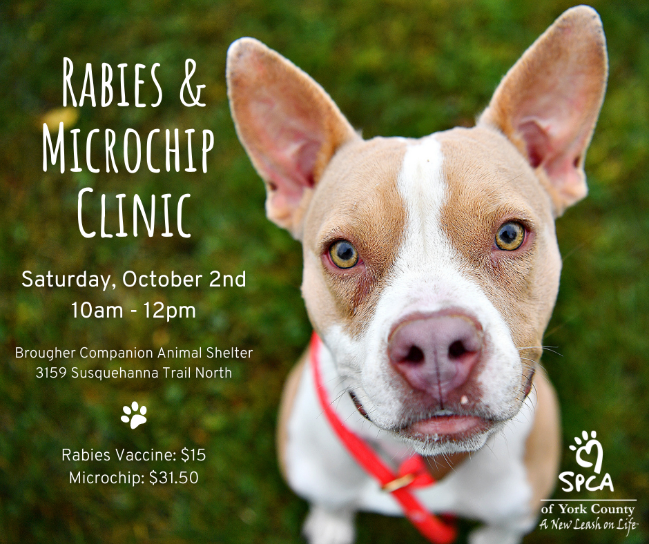 Does Spca Give Puppy Shots