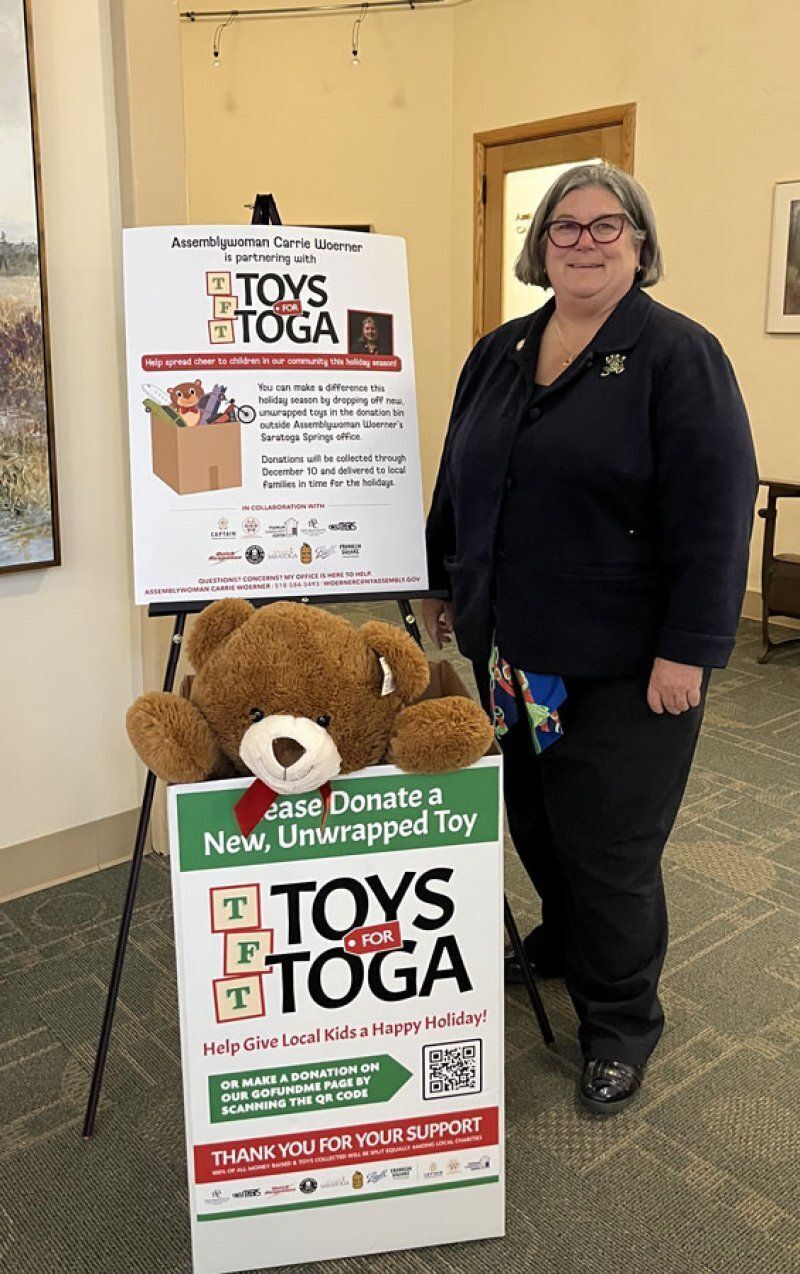 Saratoga TODAY: Assemblywoman Woerner Teams Up with Toys for Toga – Toy Donations Accepted Through Dec. 10