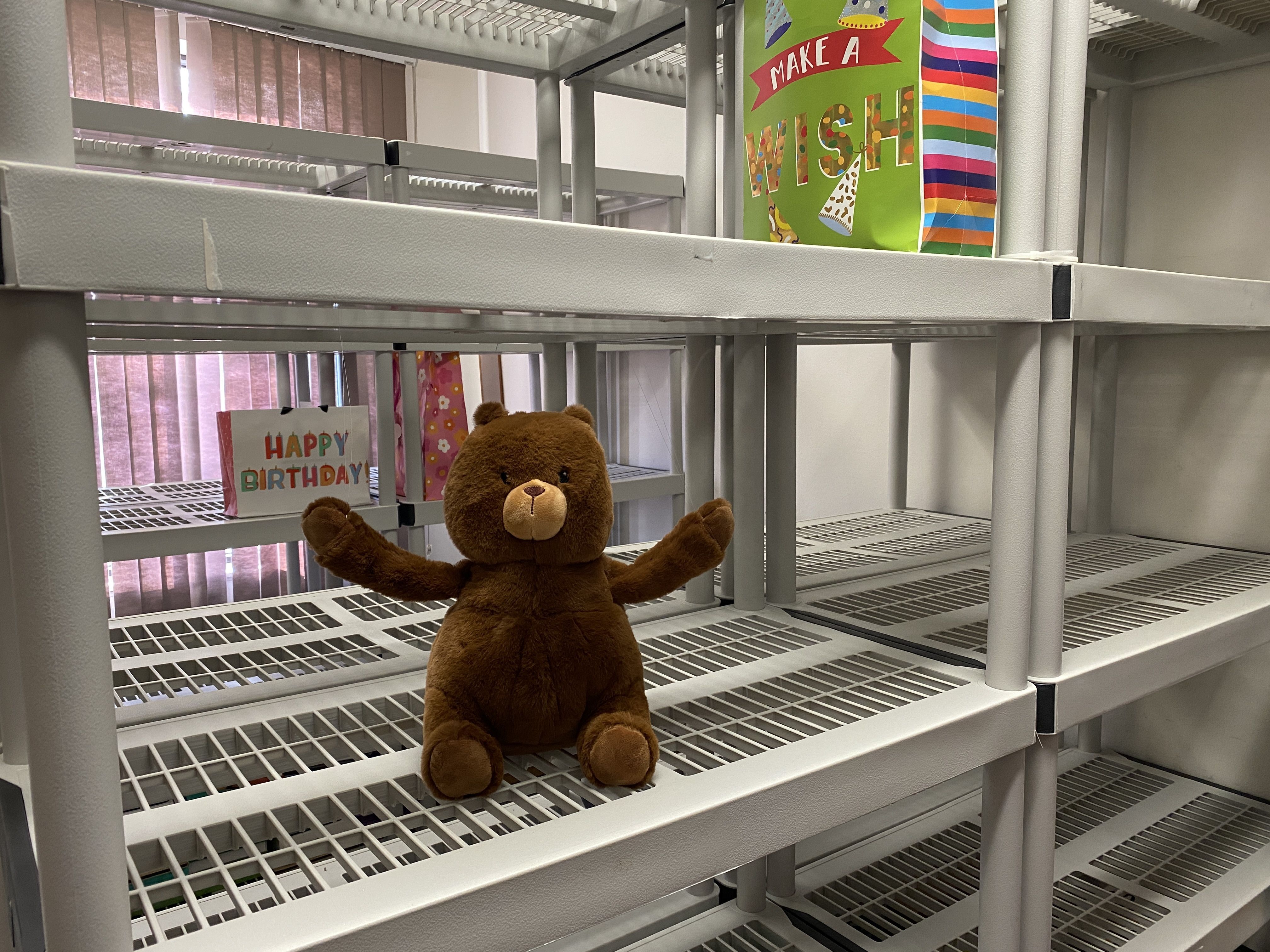 Party-in-a-Bag Needed for Children