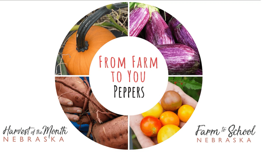 Farm to you - Peppers, Green School Farms
