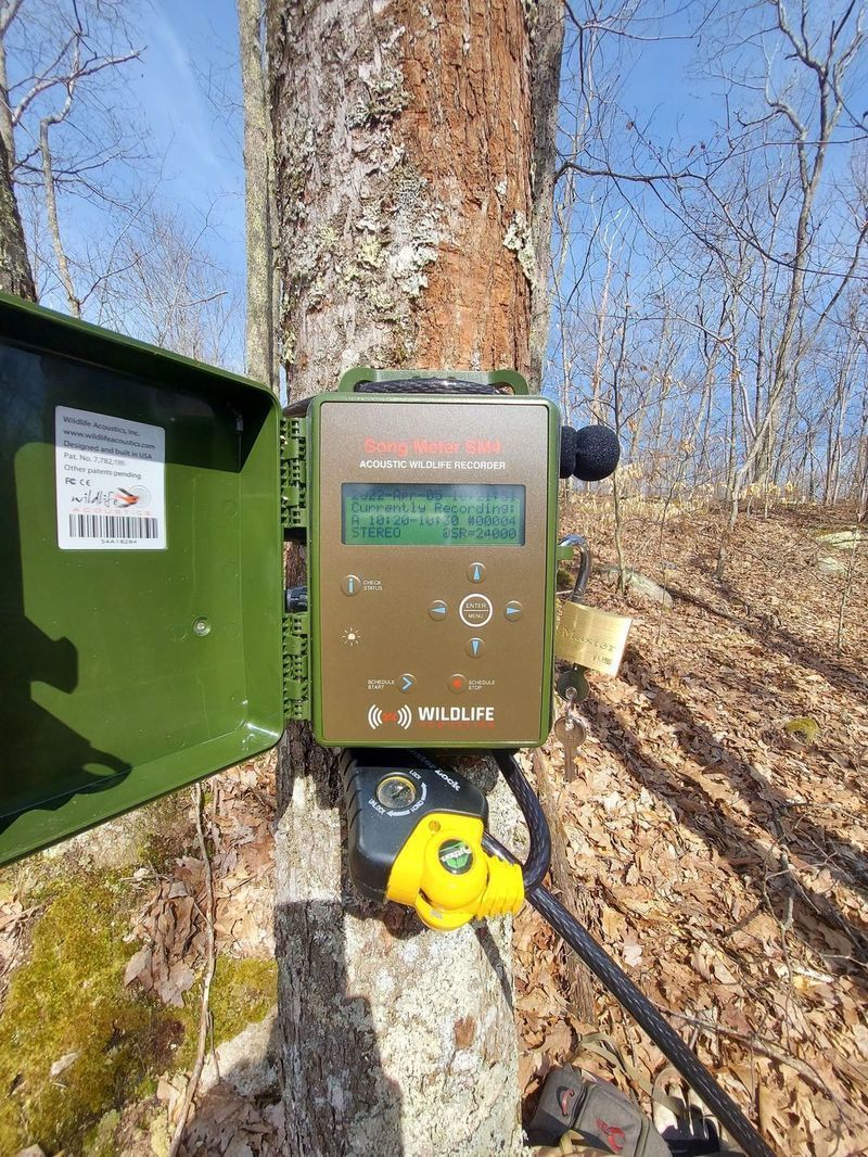 Acoustic Recording Unit on a tree in an Audubon Wildlife Refuge