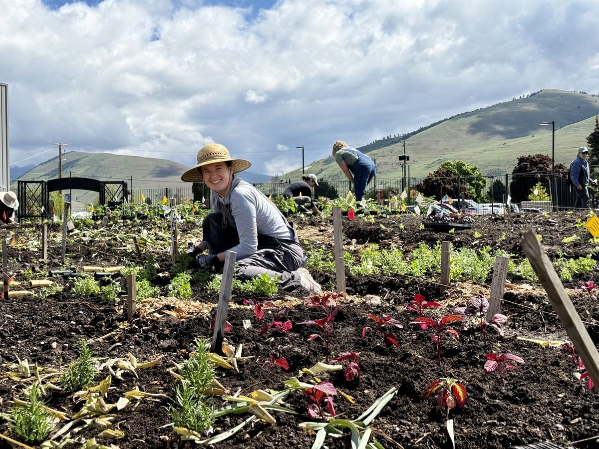 Each season the Gardens host a volunteer event to plant Beautiful Blooms