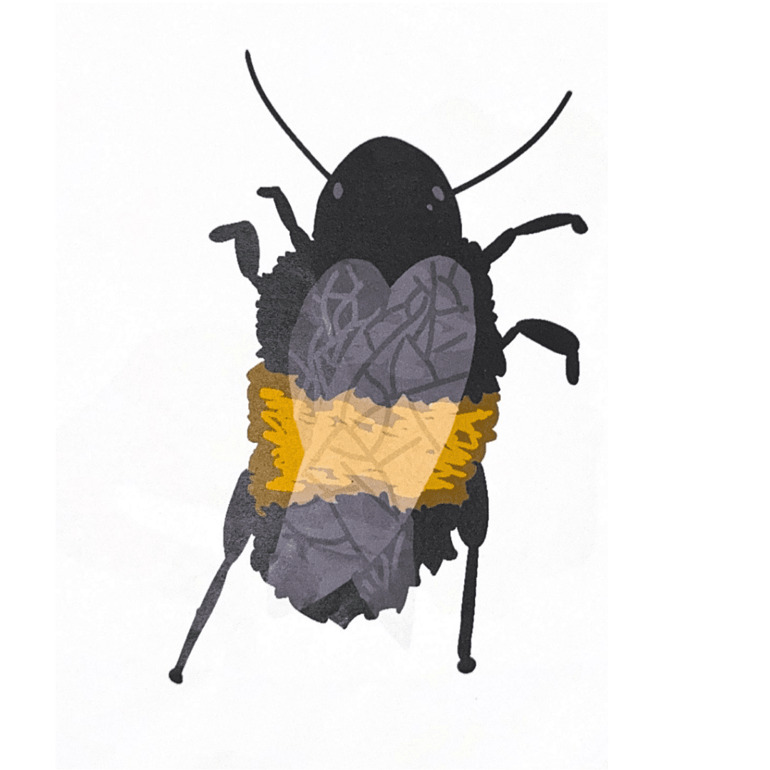 Digital painting of a bumblebee