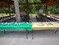 WWVDN 10th Anniversary Party