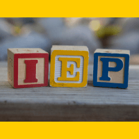 IEP Support