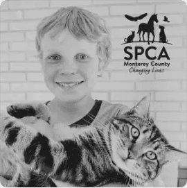 SPCA Stories BONUS Episode - Sam Brookhouser, Animal Camper Extraordinaire!