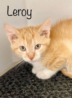 LEROY