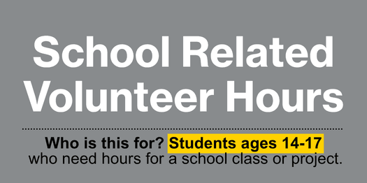 community service 14-17