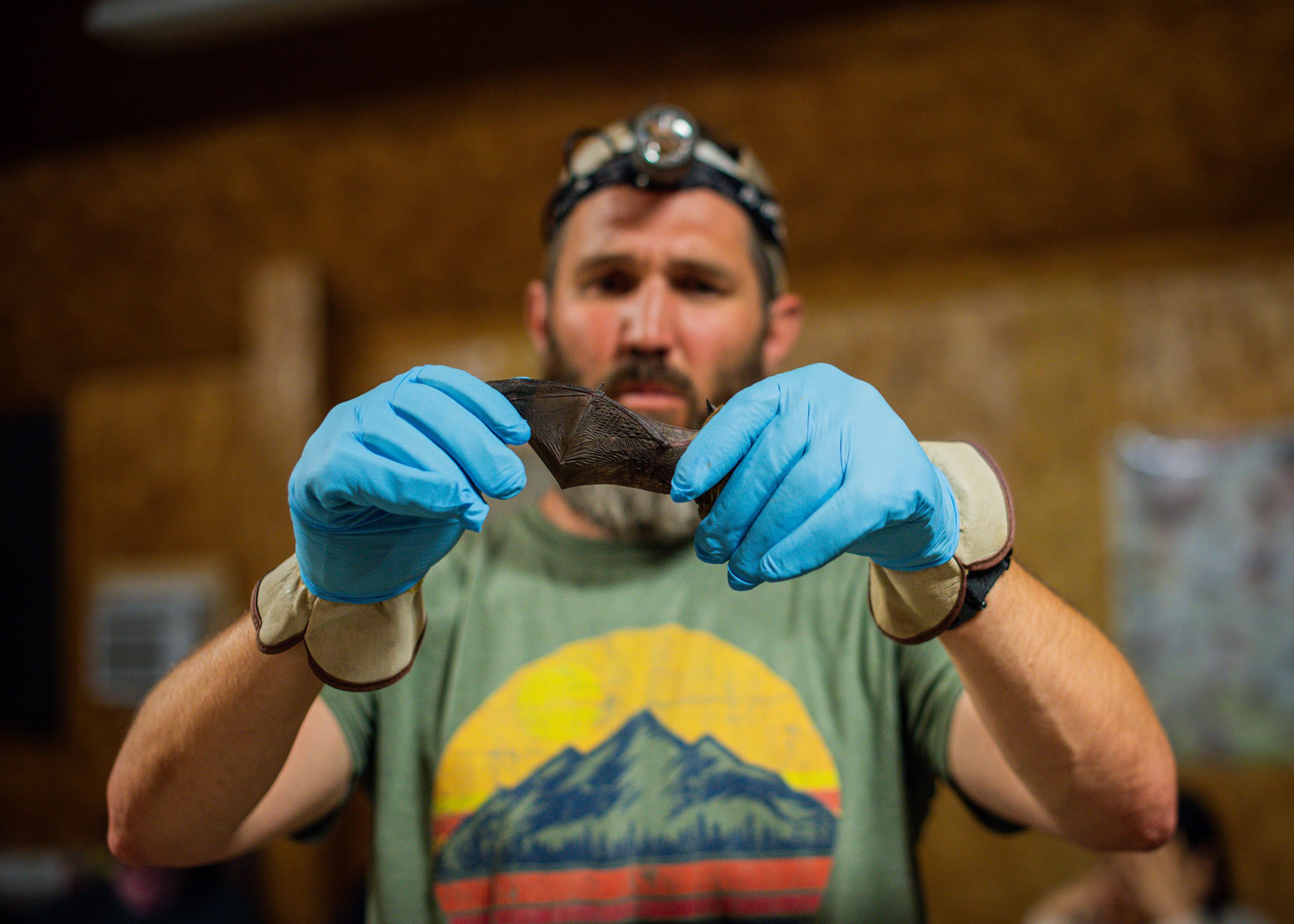 jeremy white bats nebraska wildlife education