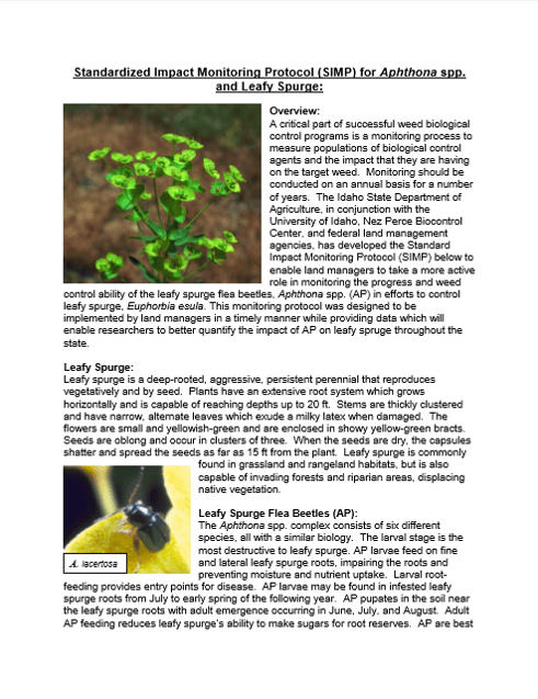 SIMP for leafy spurge flea beetles