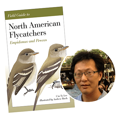 North American Flycatchers by Cin-Ty Lee