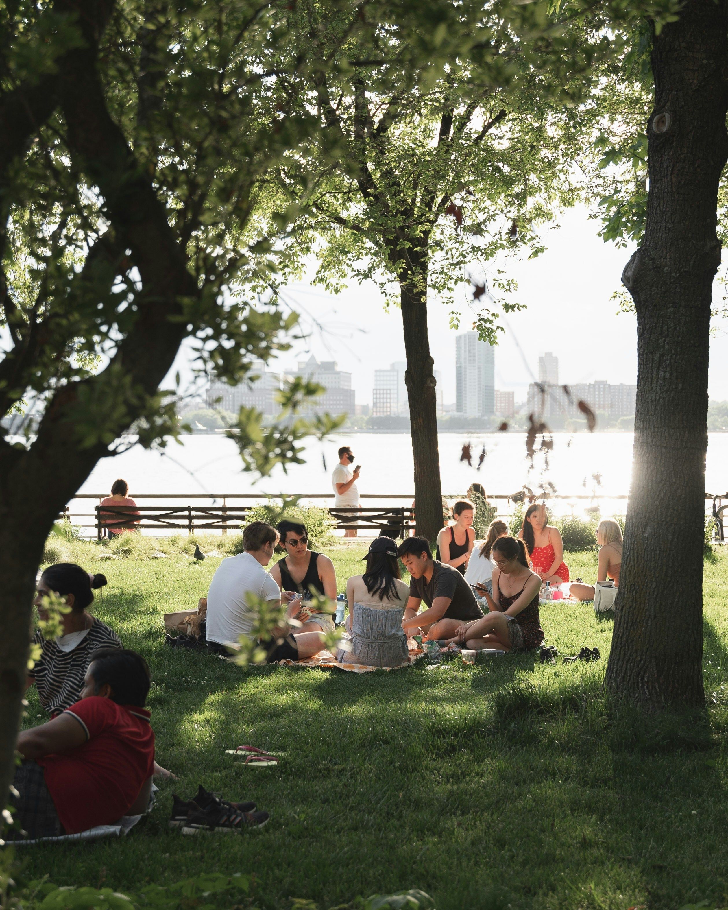 picnic in the park