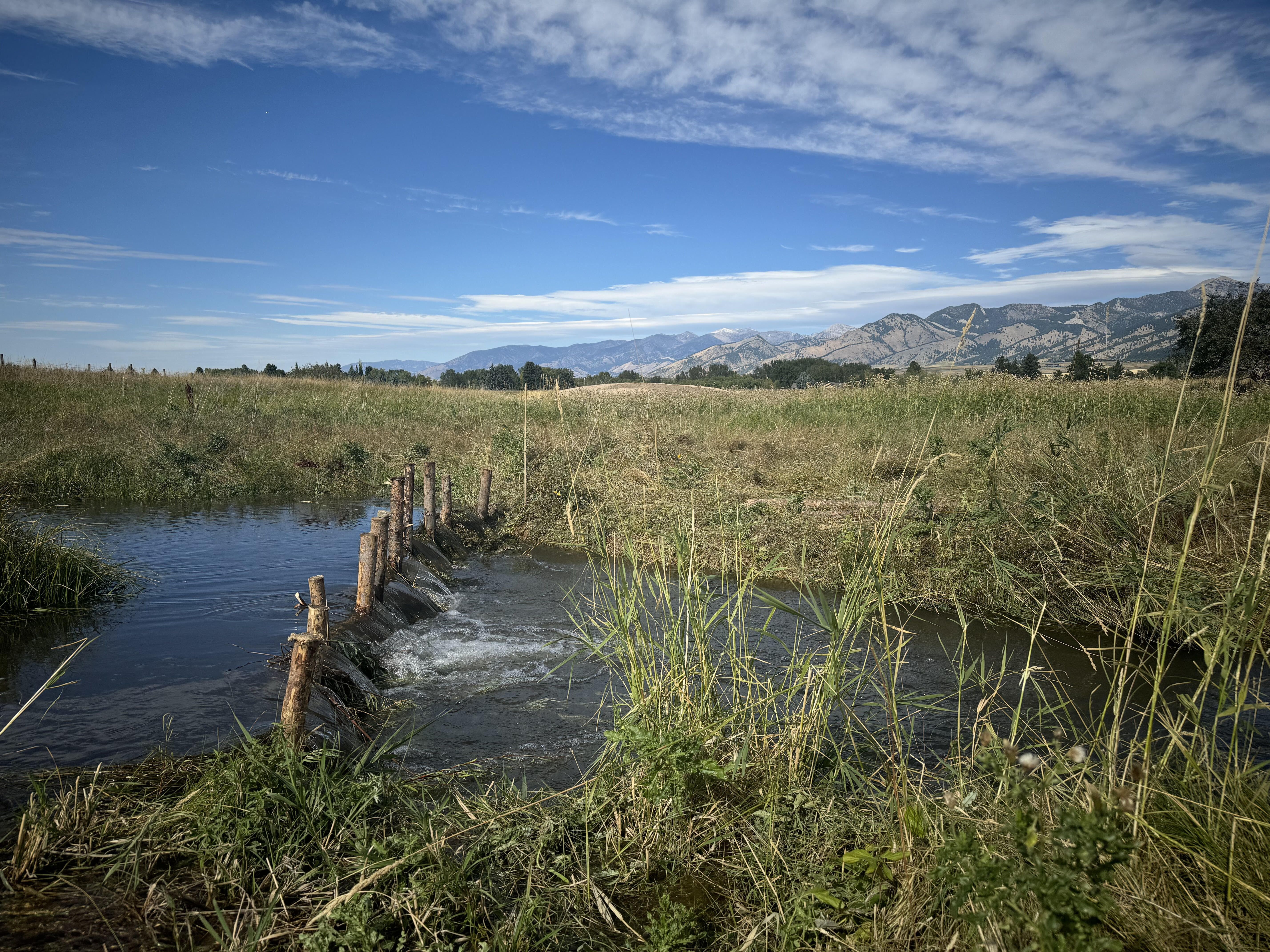 A beaver dam analog in a stream with the Bridger Mountains in the background.