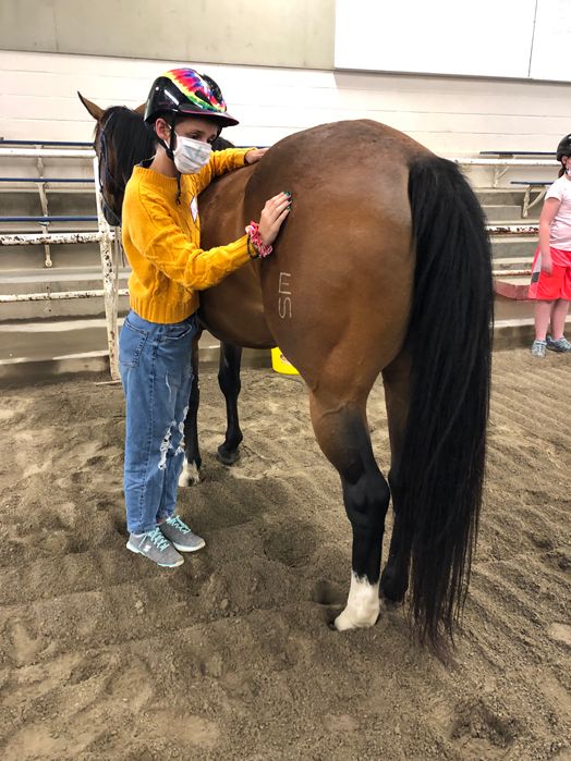 Windhorse offers class for teens with anxiety