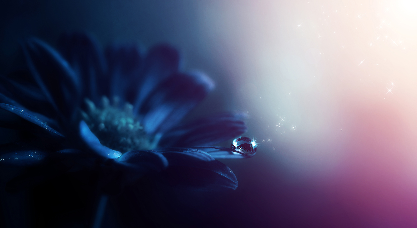Seeking the Silver Lining in Grief