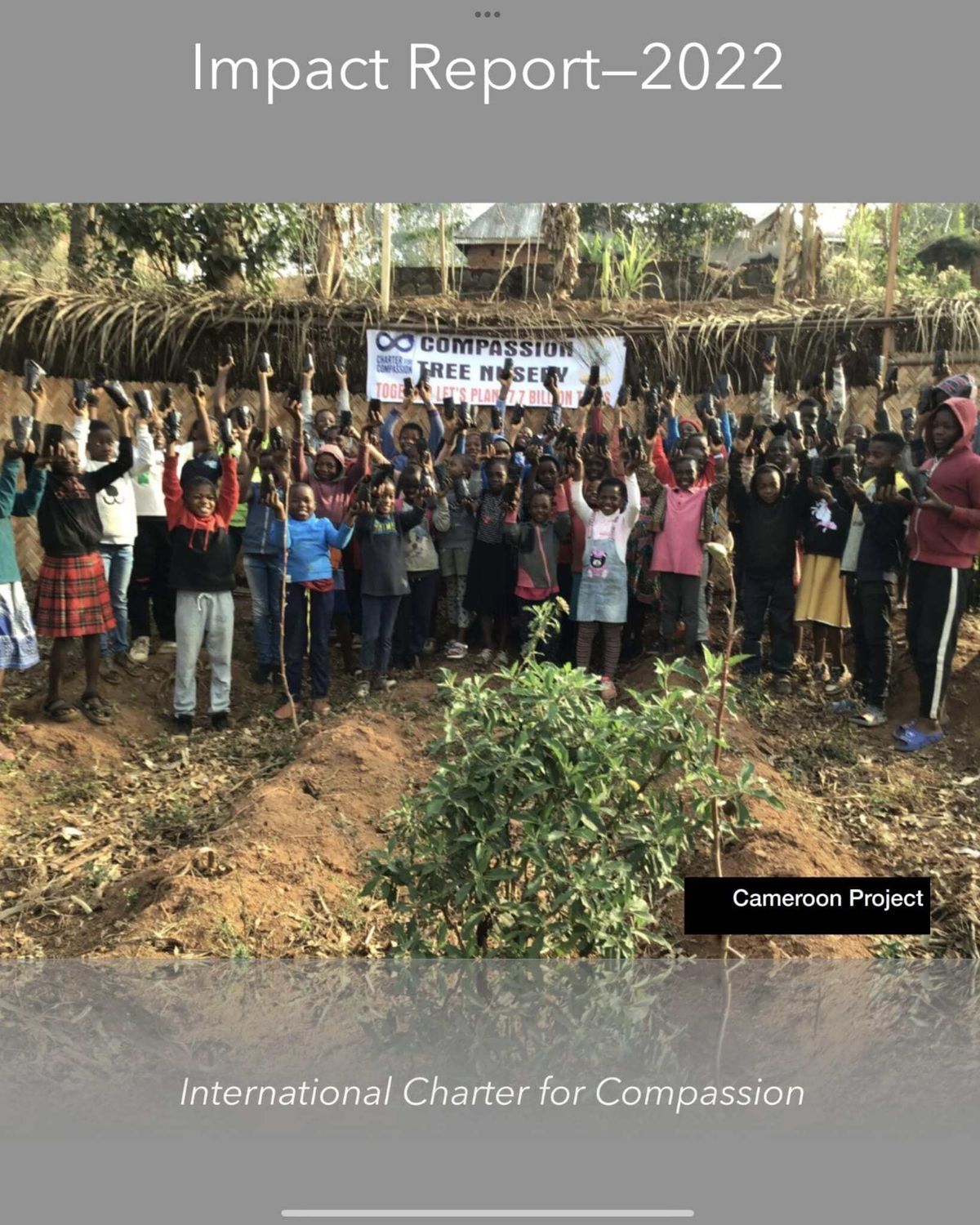 Annual Reports : Who We Are : Charter for Compassion