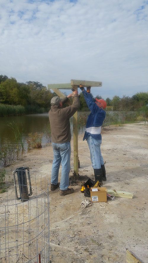 High Island Workday November