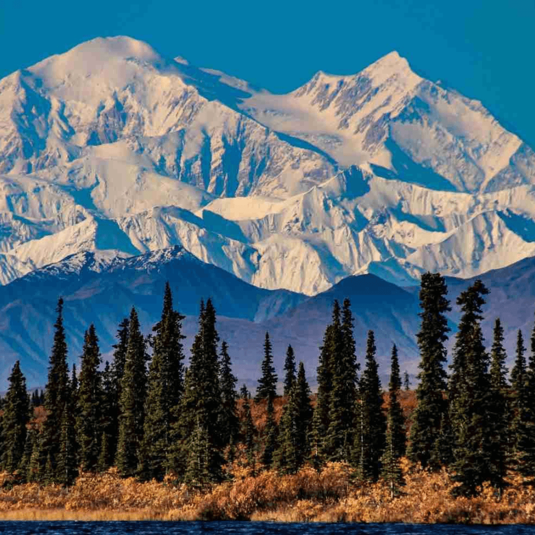 Register now for 2025 Moose Scat Scoot!