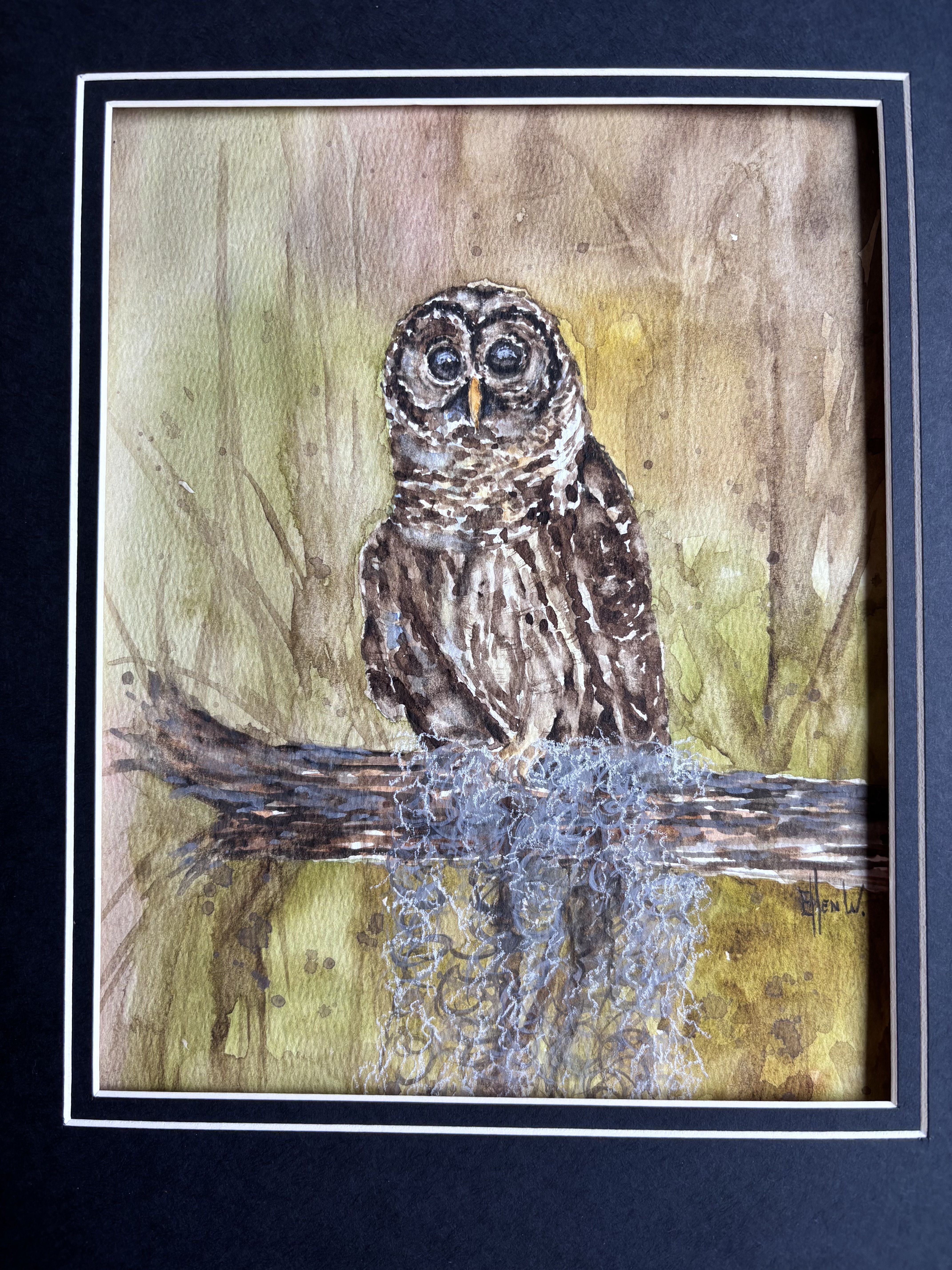 April 11, 2026 Owl
