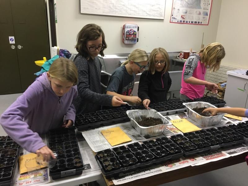 Girl Scouts and Greenhouses