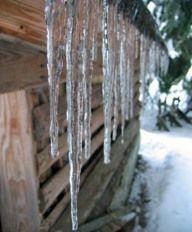 Icicles hanging from roof