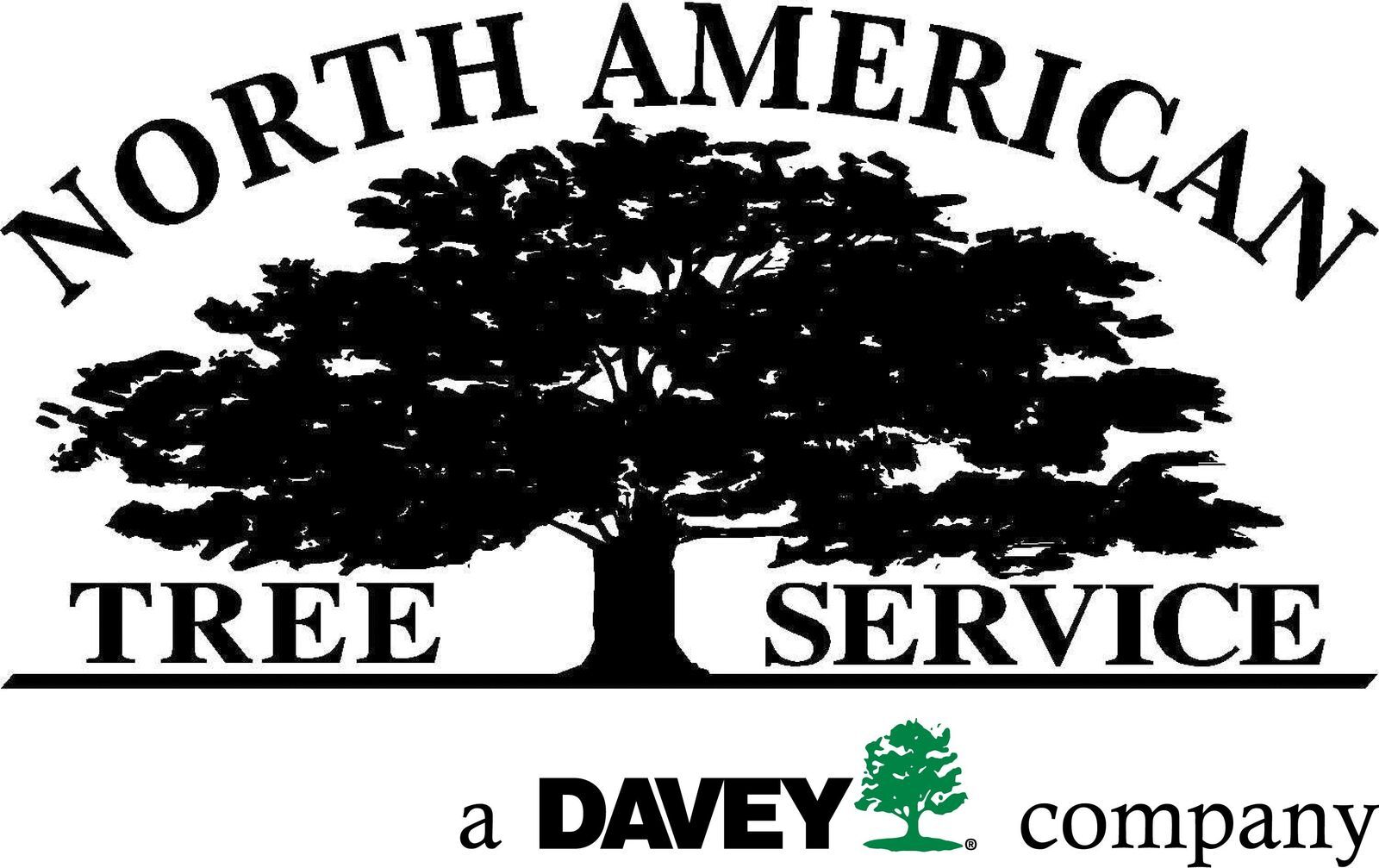 Tree Ordinance Central Resources What We Do Tree Council