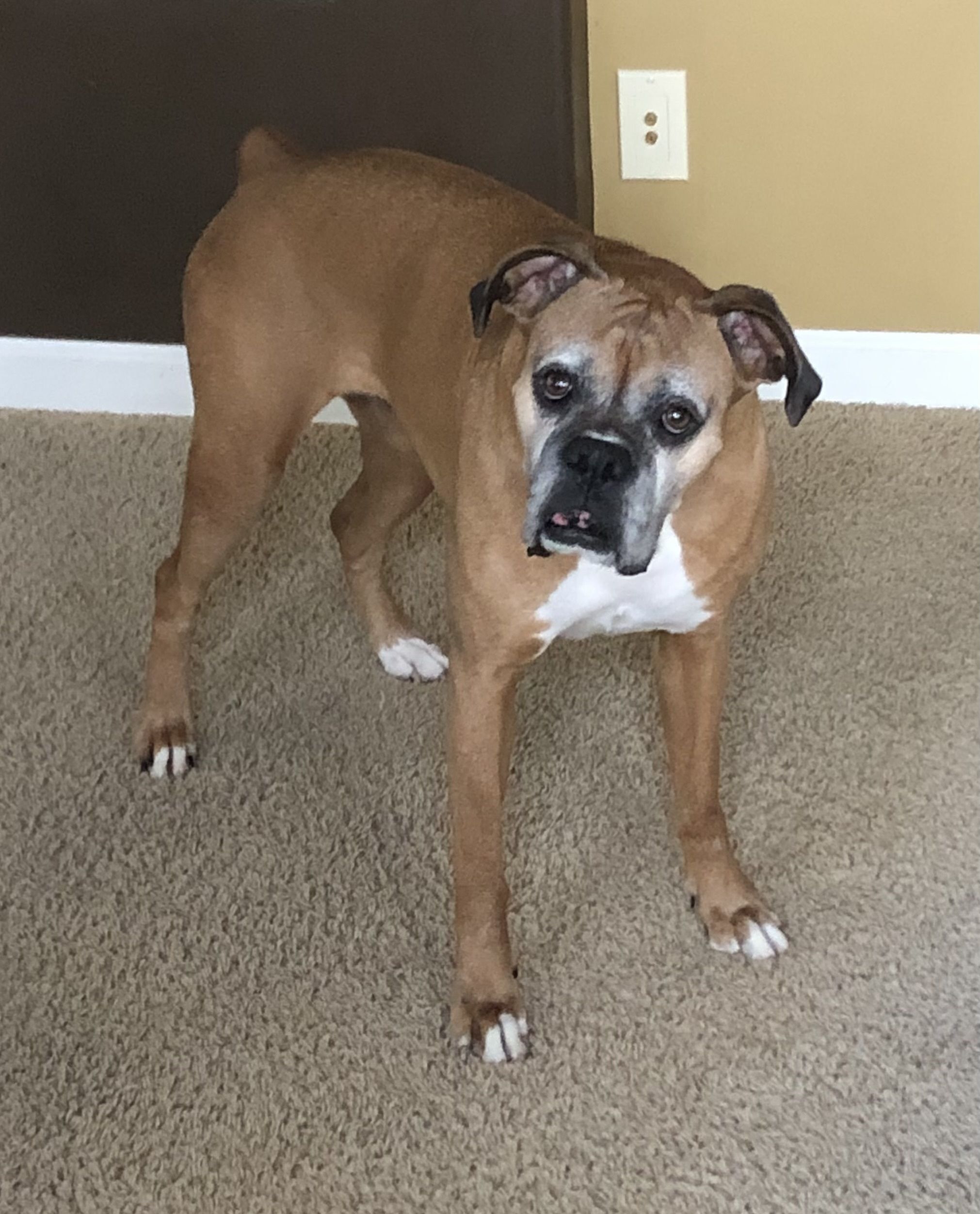 Sadie