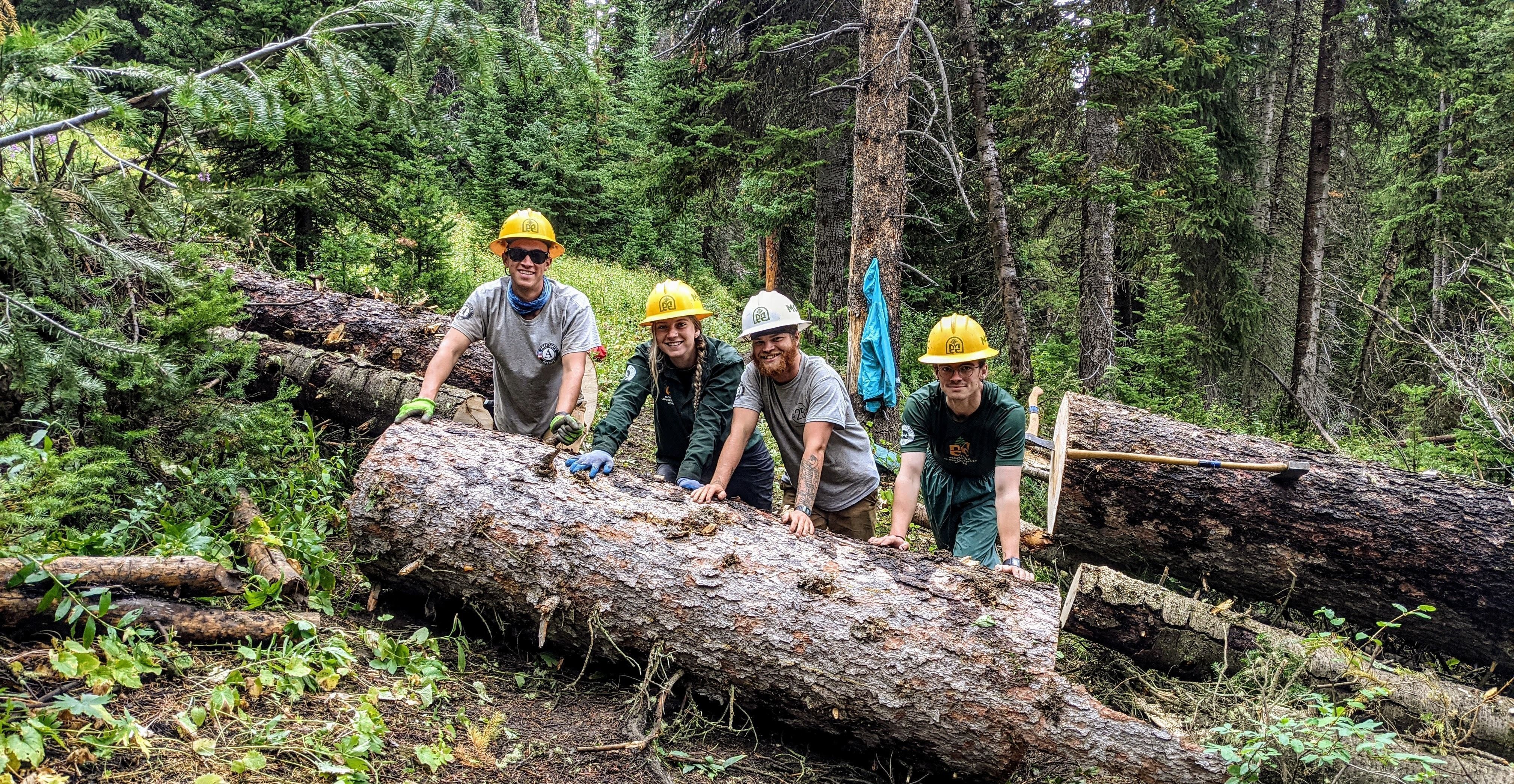 [Image Description: Four MCC members, smiling at the camera, are working together to roll a massive log that they just cut off the trail. They are all wearing their MCC uniforms and hard hats, surrounded by a dense forest.]