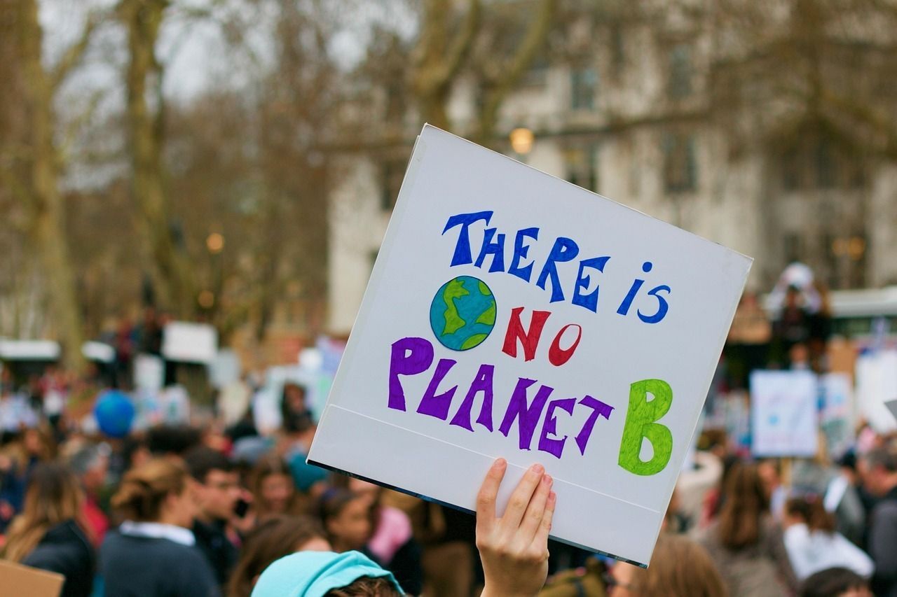 Protester displays a sign, saying There is No Planet B