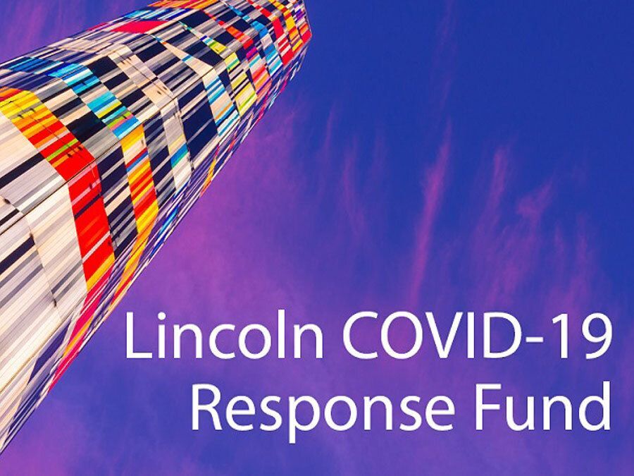 Lincoln Takes Action