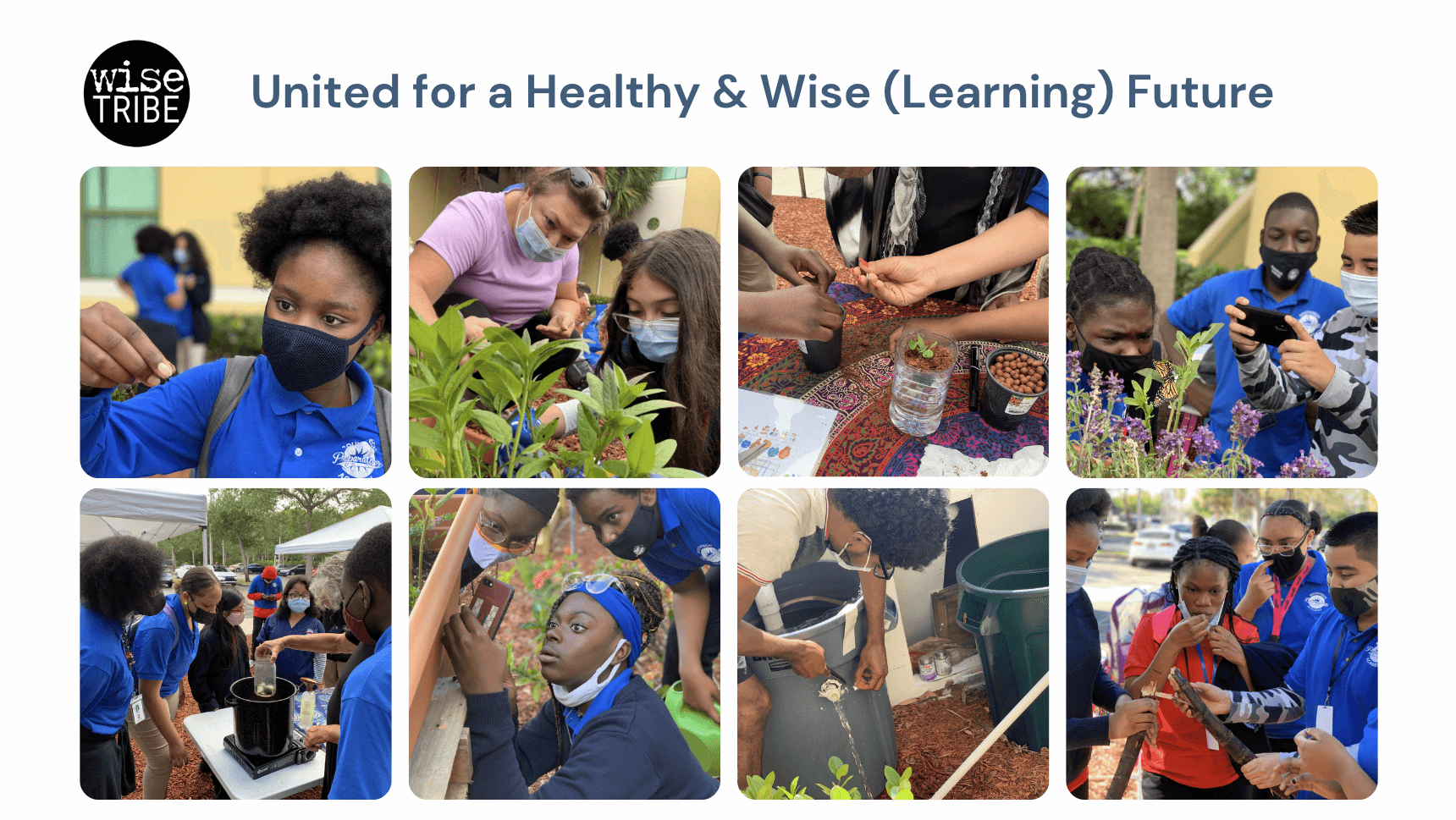 WiseTribe - United for a healthy and wise Learning future