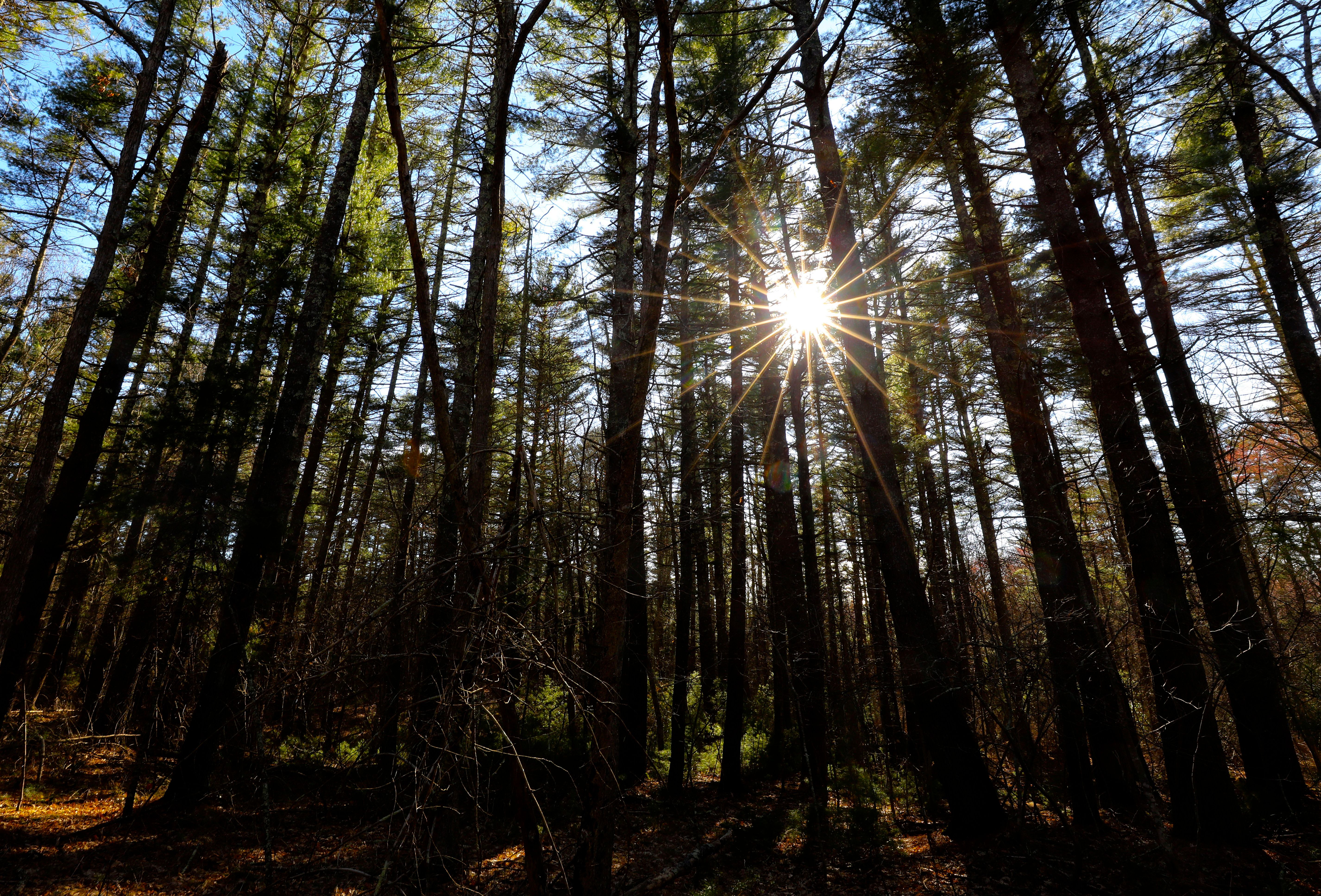 On Racism and Environmental Justice